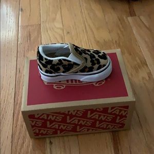 Adorable baby cheetah Vans